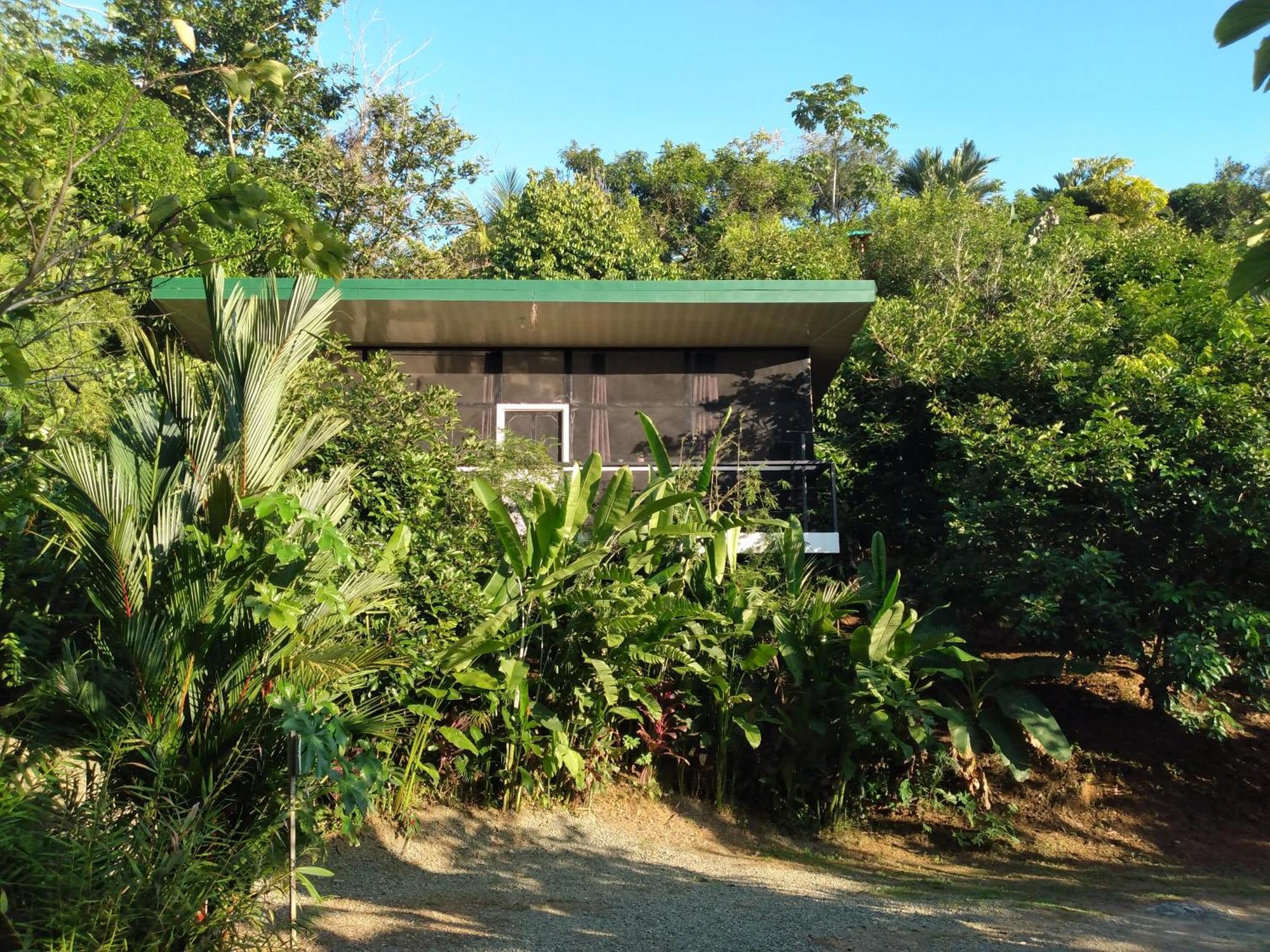Cabinas Fave Uvita Extérieur photo