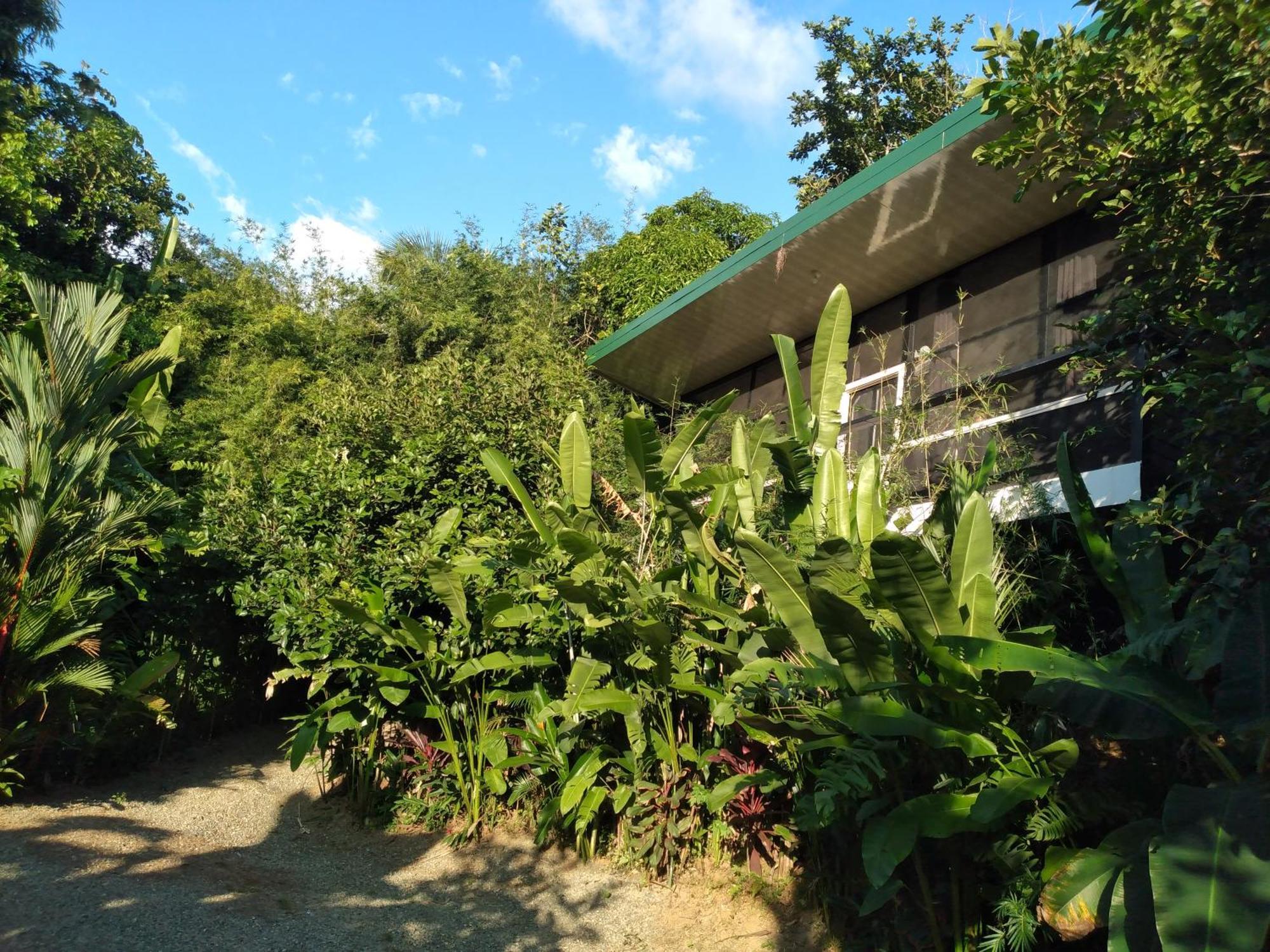 Cabinas Fave Uvita Extérieur photo