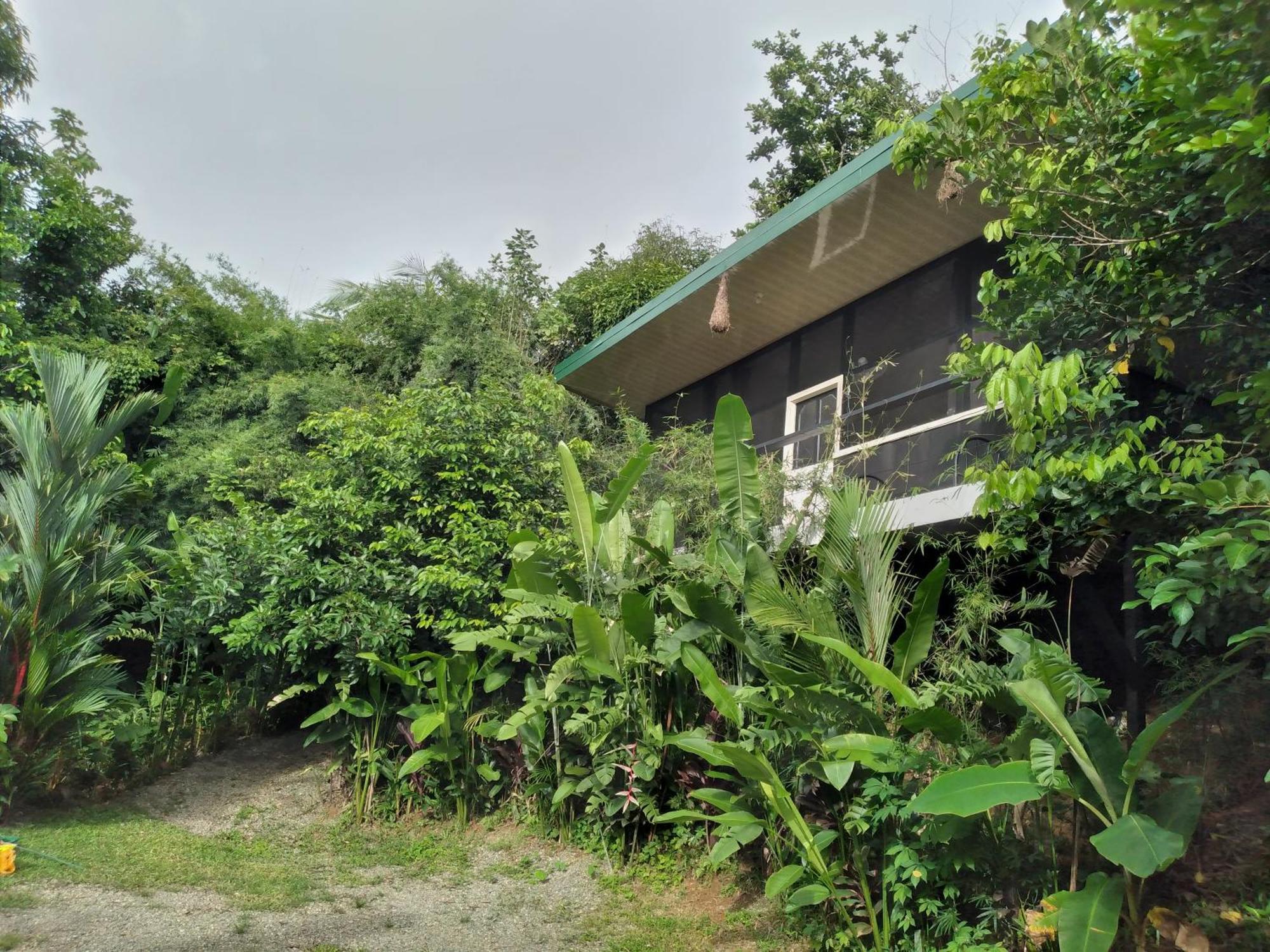 Cabinas Fave Uvita Extérieur photo
