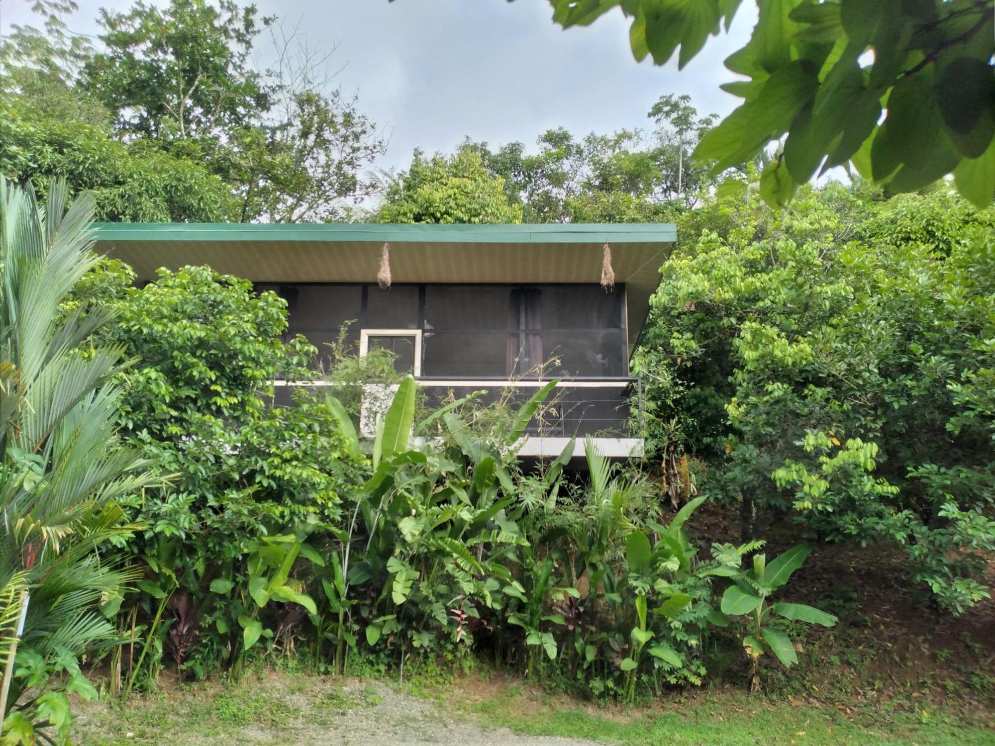 Cabinas Fave Uvita Extérieur photo