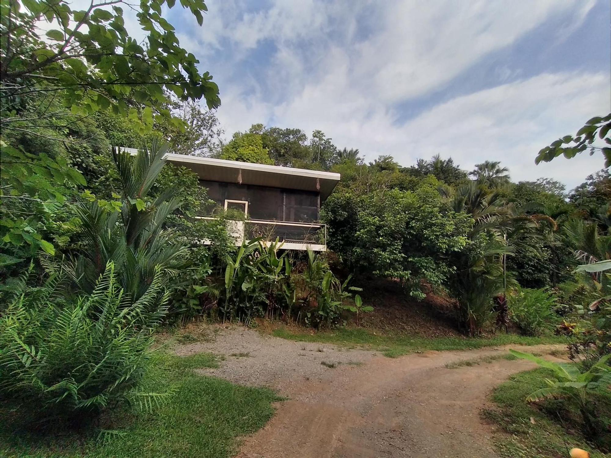 Cabinas Fave Uvita Chambre photo