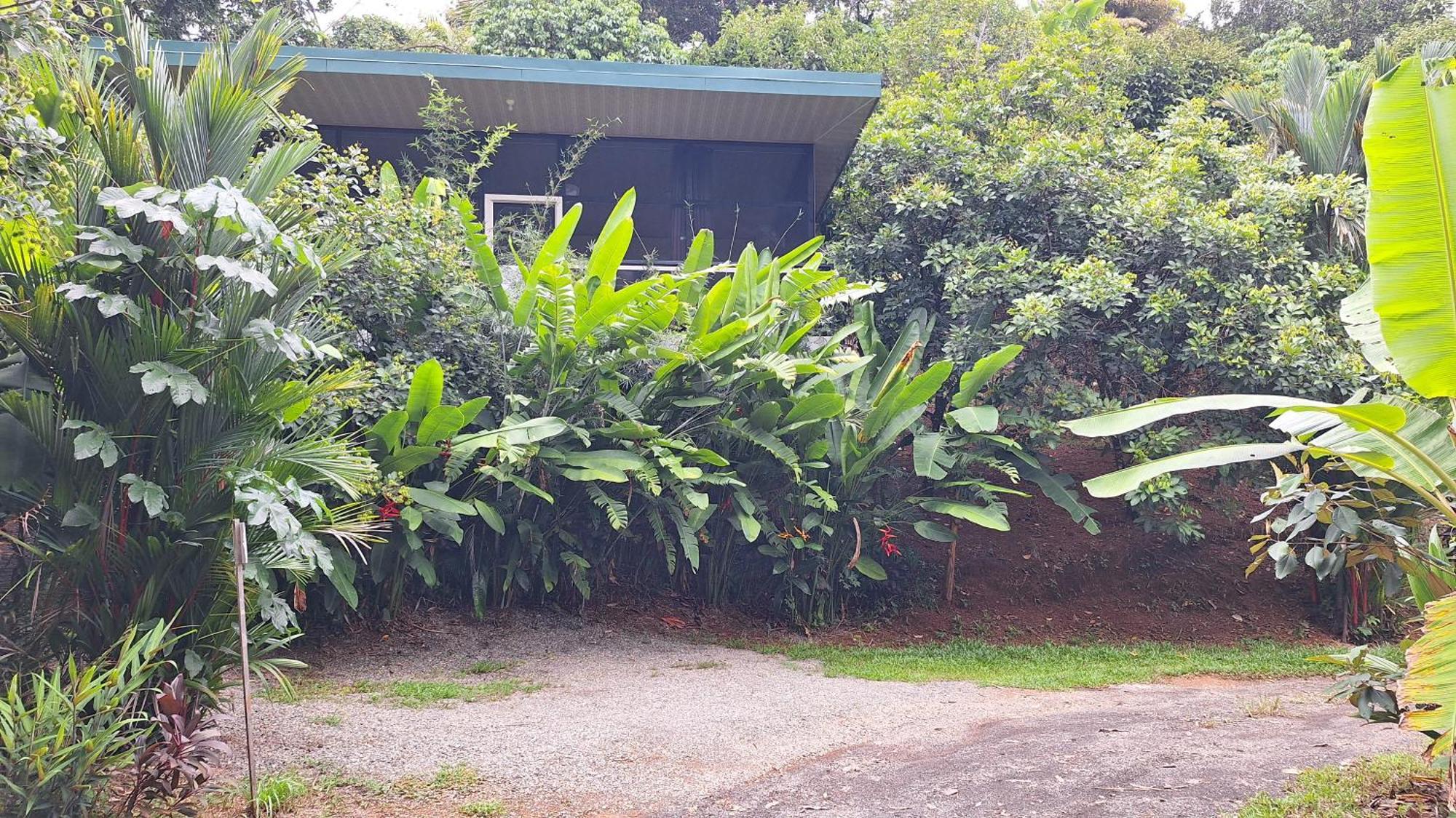 Cabinas Fave Uvita Extérieur photo